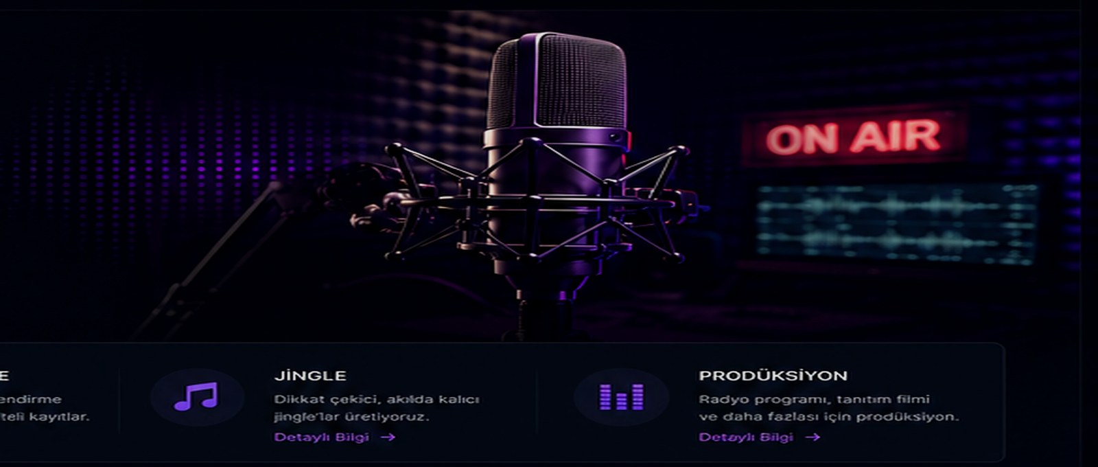 Profesyonel radyo stüdyosu